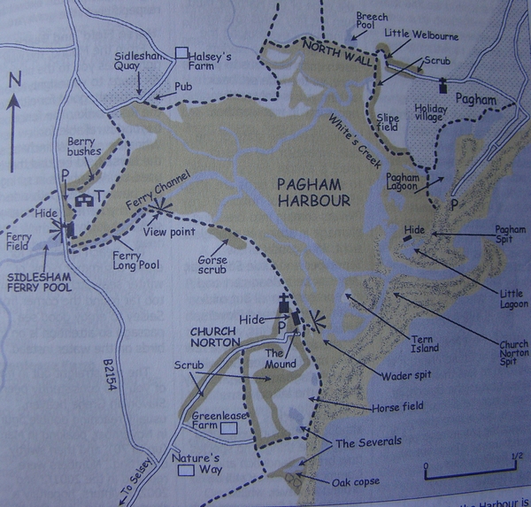 15-11-08-pagham-harbour